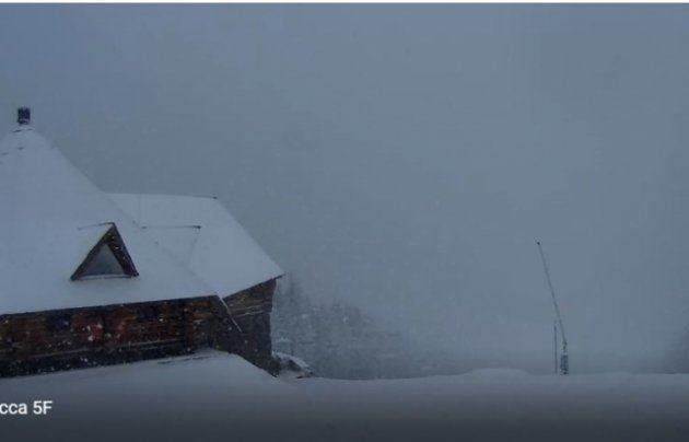Зима прийшла: Карпати засипає снігом