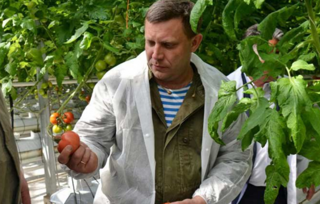 «ДНР» не переживет зиму? У населения будут изымать урожай