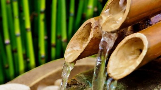 Китаец заработал $300 тыс., заливая водку в бамбуковые стебли
