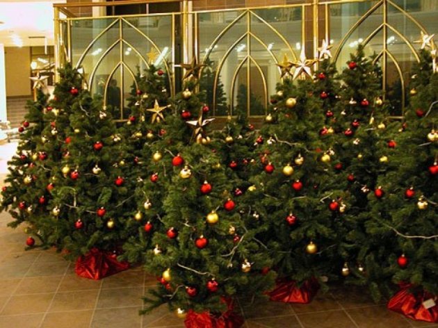 Сколько будет стоить новогодняя елка в этом году