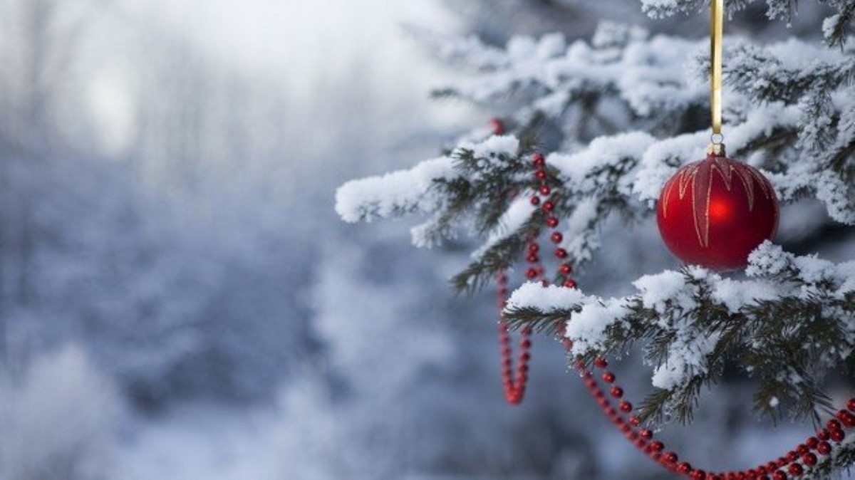 Может рухнуть: в Киеве перестали украшать новогоднюю елку