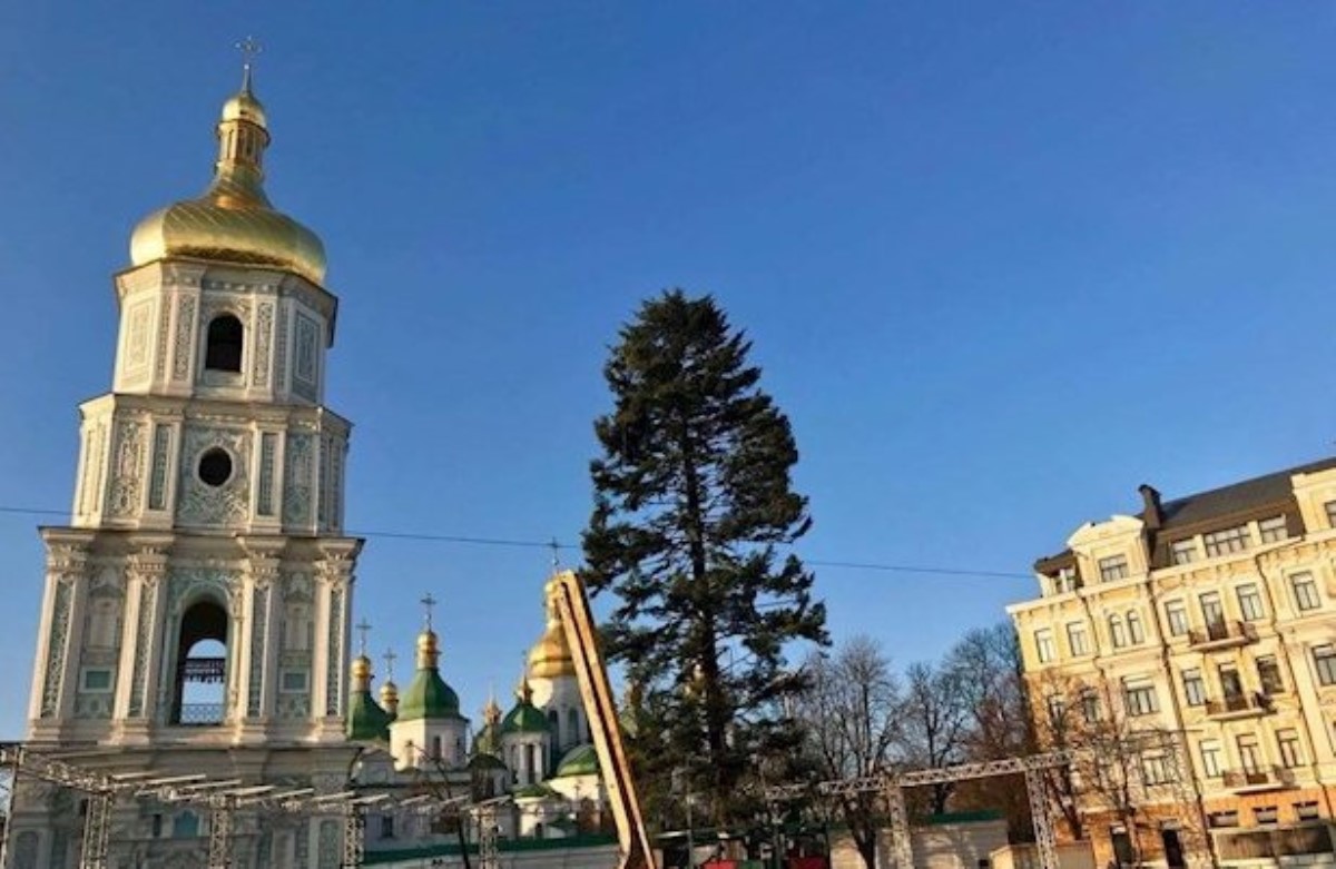 "Пойду выпью успокоительное": главная елка Украины взбудоражила сеть