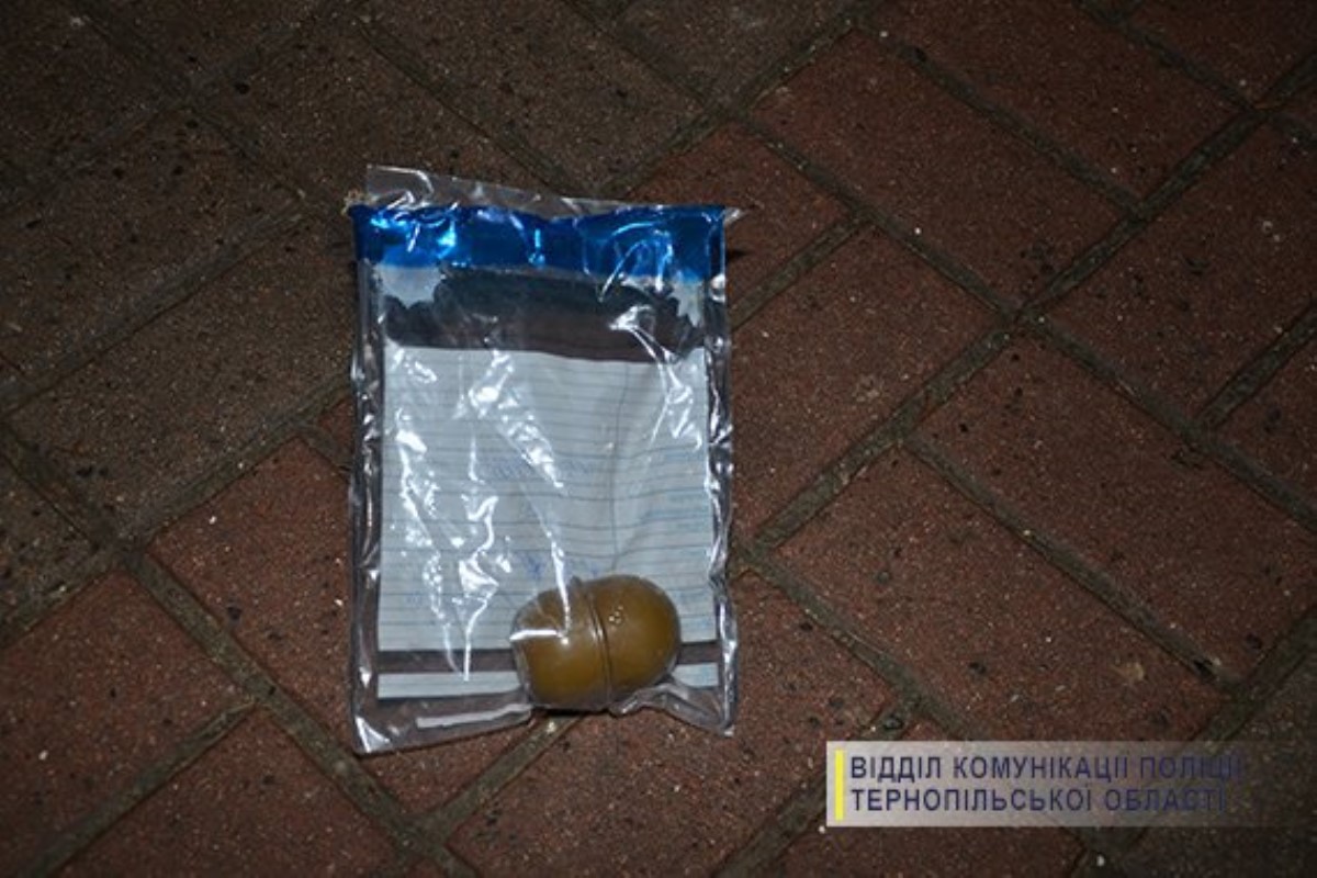 В скоростном Интерсити "Киев-Перемышль" обнаружили гранату в мусорнике