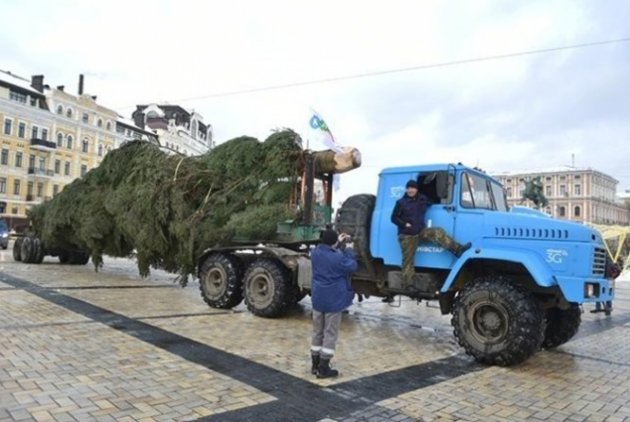 Главная елка Украины не доехала в Киев