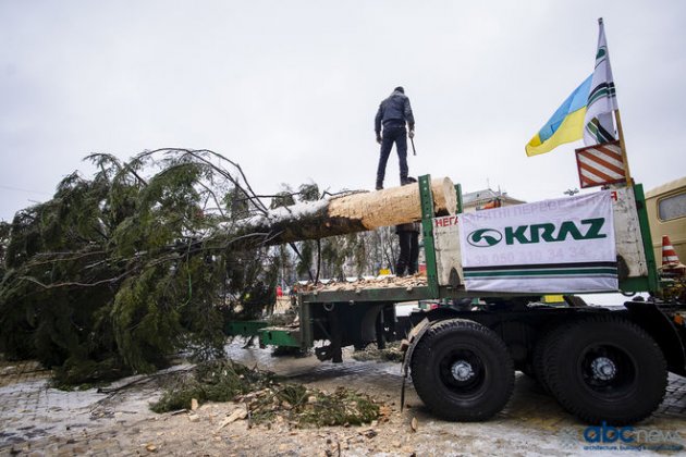 На Софийской площади начали устанавливать главную елку страны