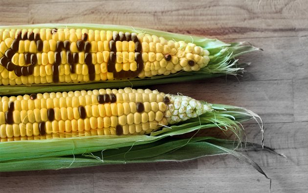 В обмен на кредиты Украина согласилась стать житницей ГМО