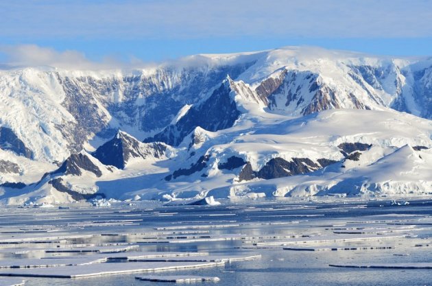 Ученые обнаружили в Антарктиде инопланетные организмы