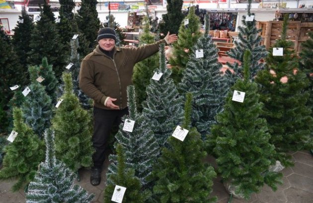 Доставят и установят: продавцы новогодних елок в Киеве осваивают европейский сервис