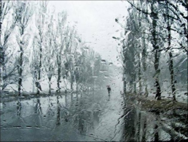 Идут дожди: синоптик дала свежий прогноз погоды по Украине