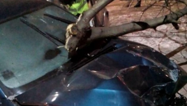 В Борисполе пьяная автоледи снесла столб и дерево, убегая от полиции