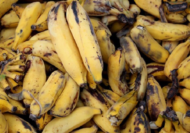 В Украине рекордно подорожали бананы