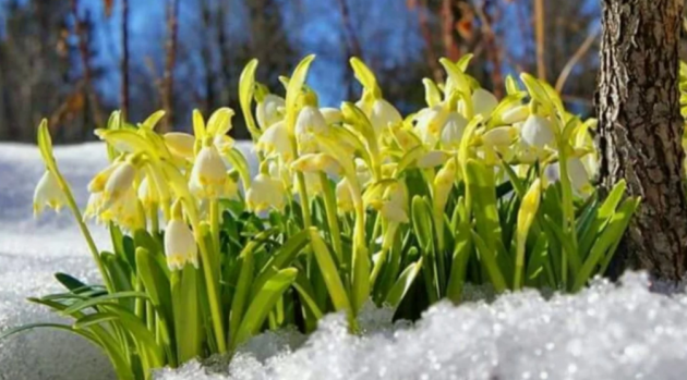 Дожди со снегом зальют большую часть Украины, но где-то будет солнечная весна