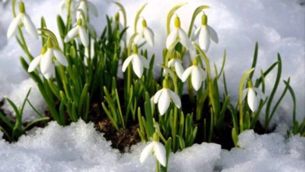 Когда в Украину придут весна и тепло: маг дал прогноз на ближайшие недели