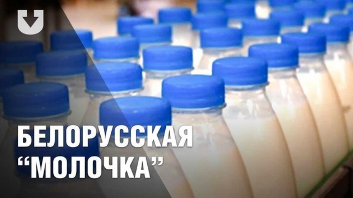 Россия запретила молочную продукцию из Беларуси