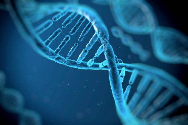 Ученые нашли в ДНК квантовый таймер