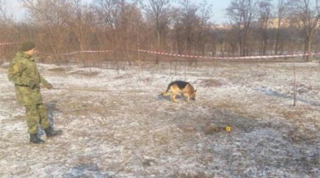 В Кривом Роге собака откопала тело мертвого ребенка. ФОТО