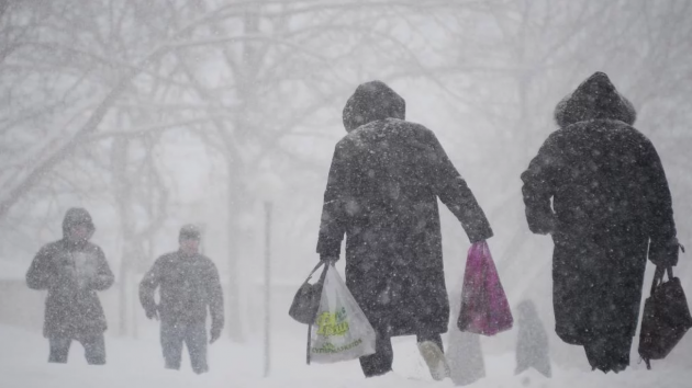 На Украину движется мощный снегопад, ожидаются снежные заносы