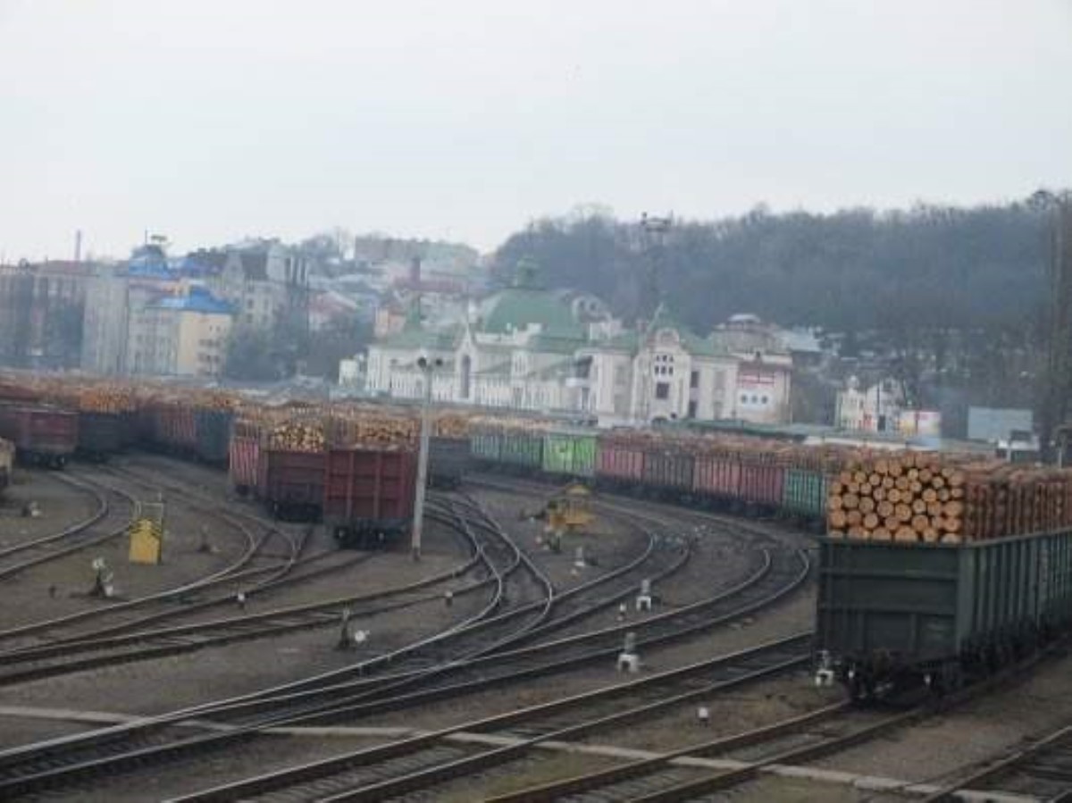 Вырубка леса в Карпатах: Украине предрекли катастрофу