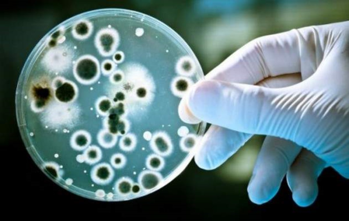 Наши бактерии могут быть нашими хозяевами, а не наоборот