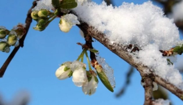 Прячьте шубы: украинцам рассказали, когда придет настоящая весна
