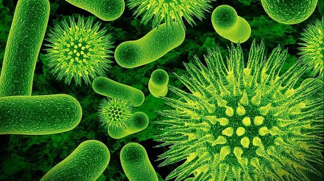 Ученые предсказали смерть миллионов человек от неизвестной инфекции