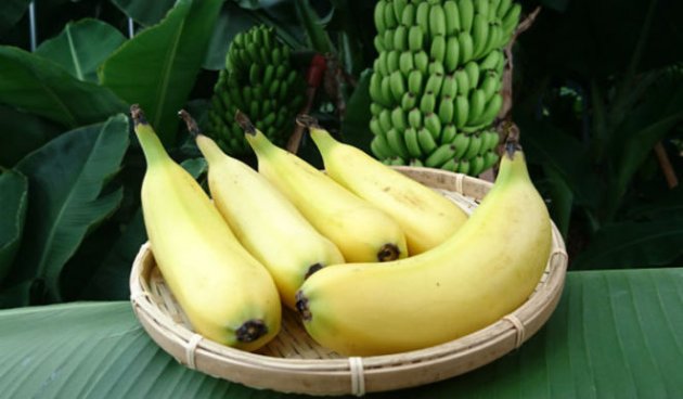 Фермеры начали выращивать бананы со съедобной кожурой