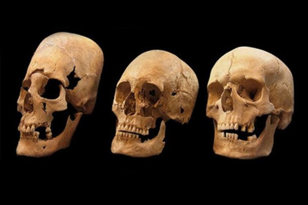 Ученые нашли разгадку древних вытянутых черепов