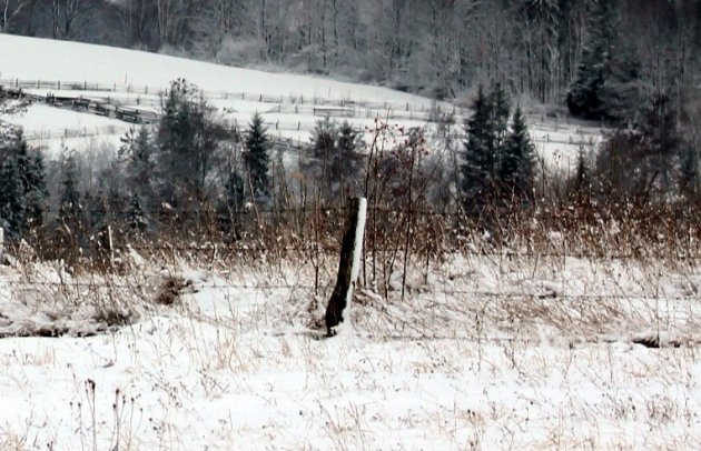 Под Черновцами в снегу нашли тело бывшего депутата