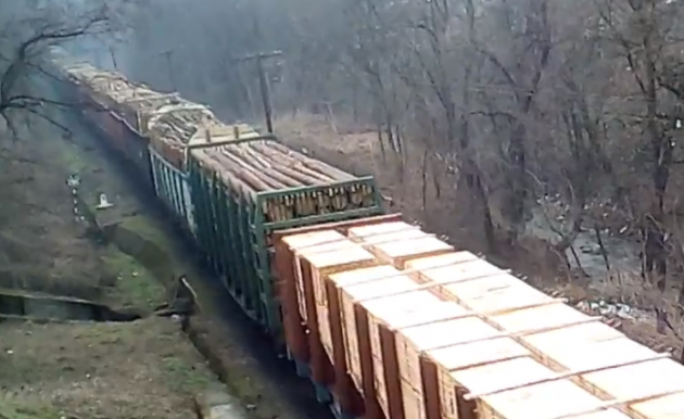 Лес вагонами вывозят: украинцев возмутили поезда с лесом-кругляком