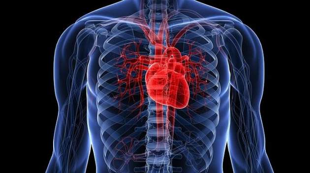 Ученые нашли новую связь между популярным лекарством и болезнями сердца