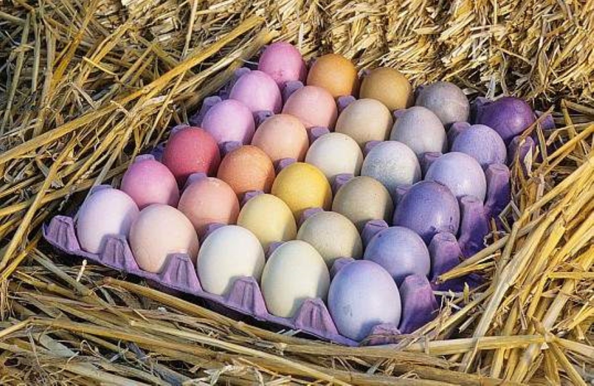 Красители для яиц: стоит ли рисковать здоровьем