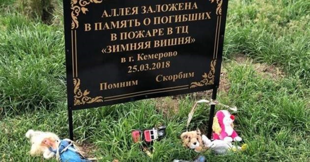 В Крыму разворовали аллею, посаженную в память о жертвах трагедии в Кемерово