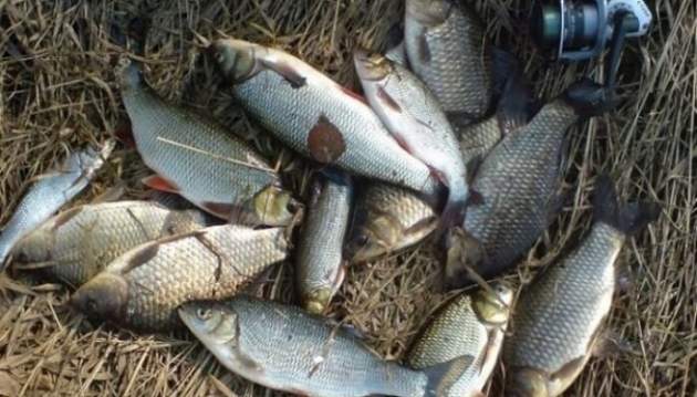 В Украине запретили ловить рыбу