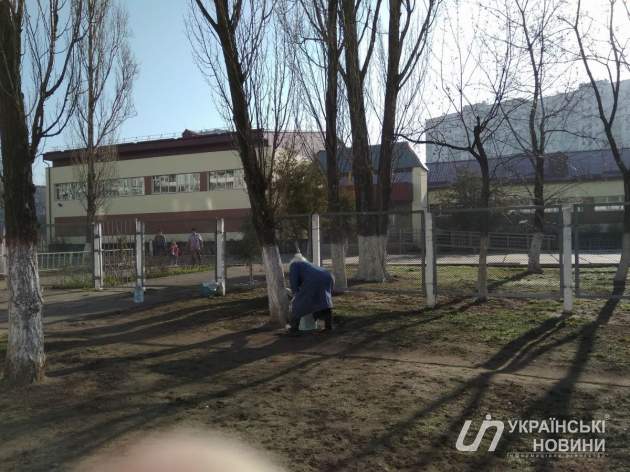 Назло Кличко: в школах на Оболони белят деревья. Фото