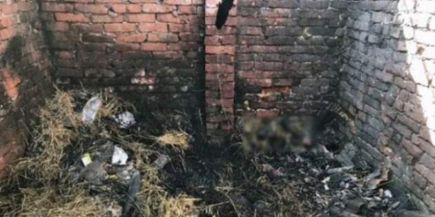 В Донецкой области в адской ловушке погибла 6-летняя девочка
