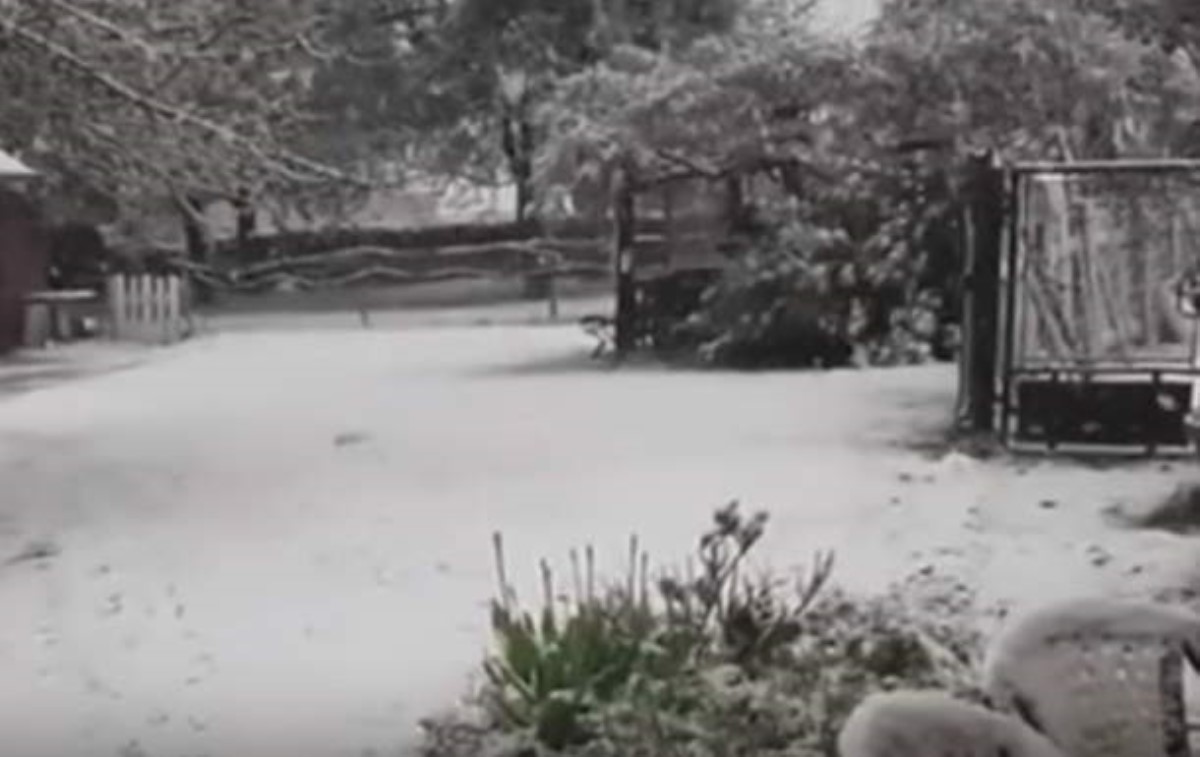 Не в Альпах: во Франции выпал снег. Видео