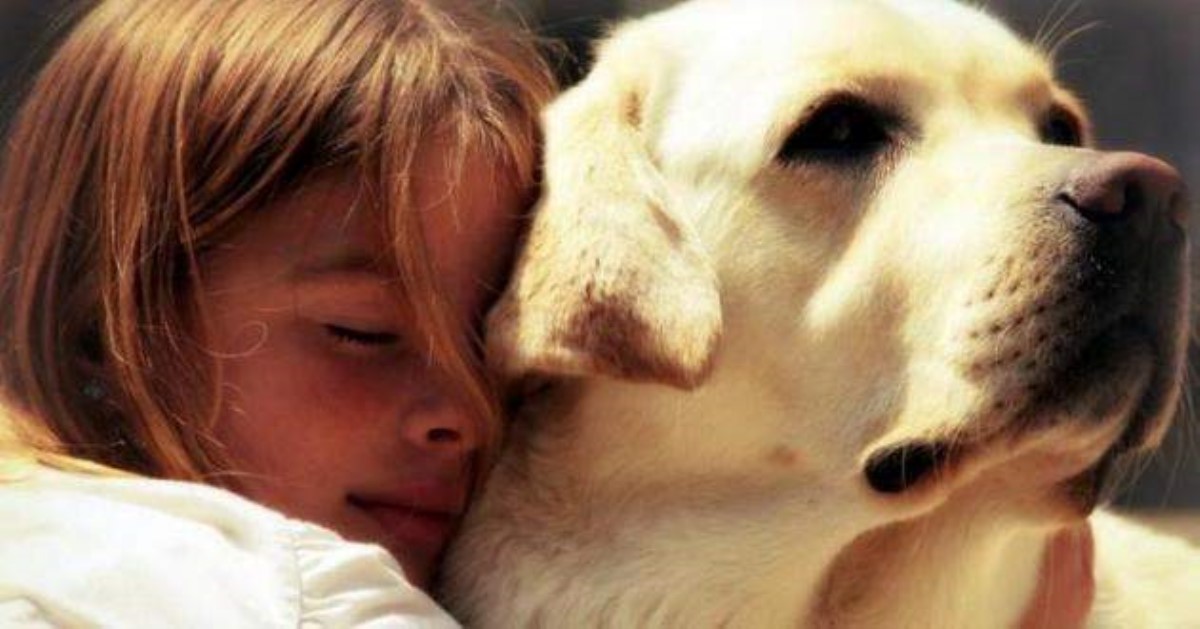Очаровательный пес спас жизнь маленькой украинке