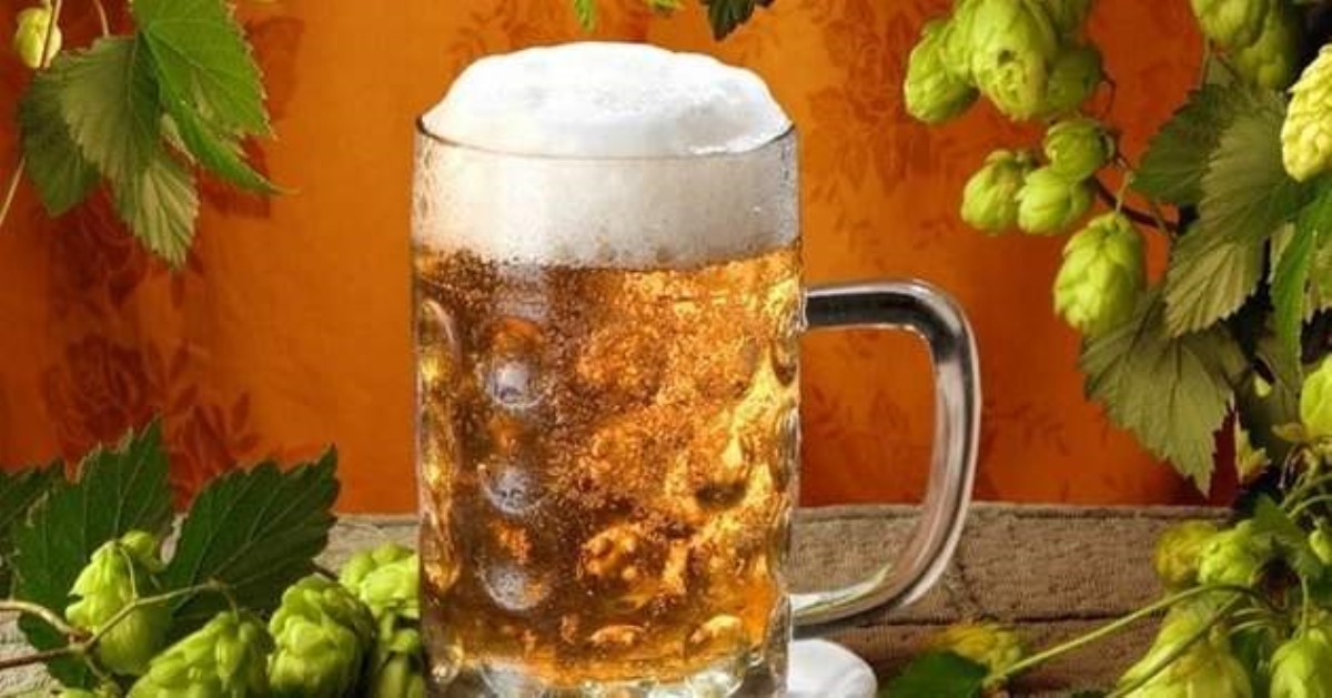 Опасное хмельное: ученые назвали смертельную дозу пива