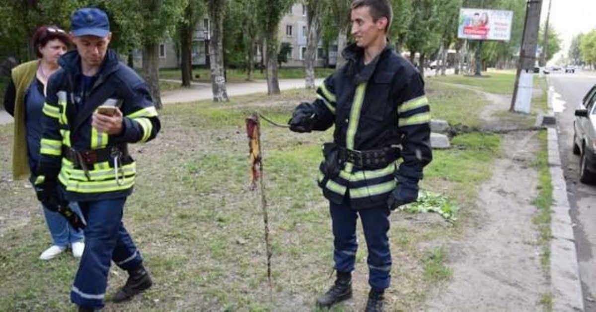 В Николаеве две бригады спасателей ловили змею, которая заползла в автомобиль
