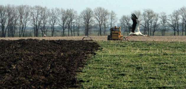 Всемирный банк: Стоимость земли в Украине может вырасти втрое