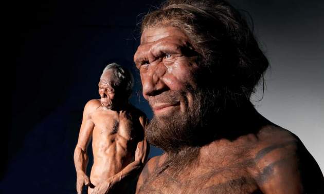 Ученые собираются "воскресить" мозг неандертальцев