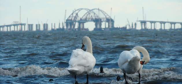 Разрушение Крымского моста спровоцирует страшные процессы – эколог