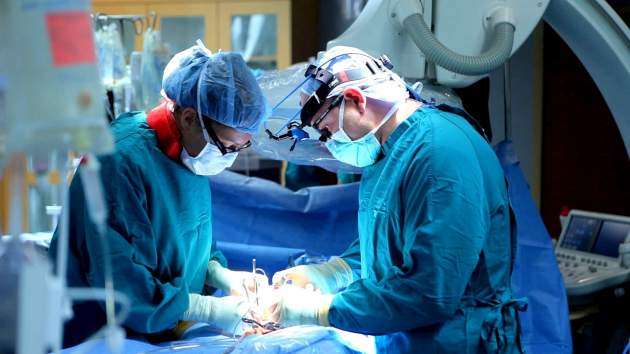 Депутаты узаконили трансплантацию органов в Украине