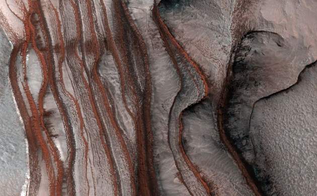 Ученые нашли возможные свидетельства жизни на Марсе