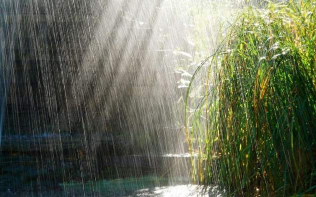 Синоптики прогнозують на неділю дощі з грозами