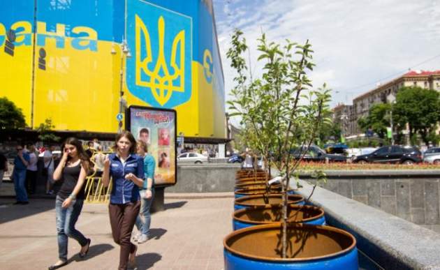 Дерево за 18 тысяч: как деньги украинцев идут на озеленение, которого нет
