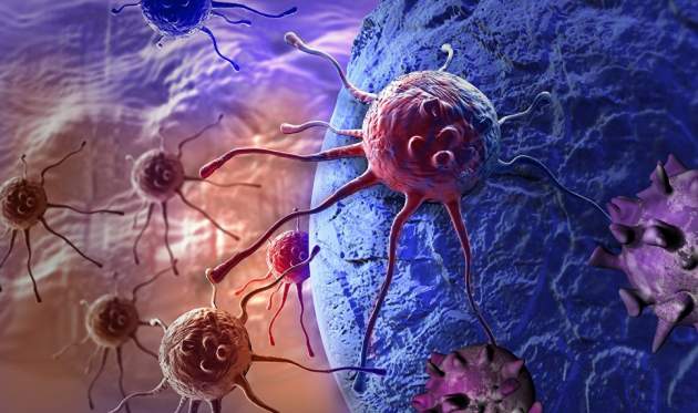 Ученые предложили лечить рак известным ядом