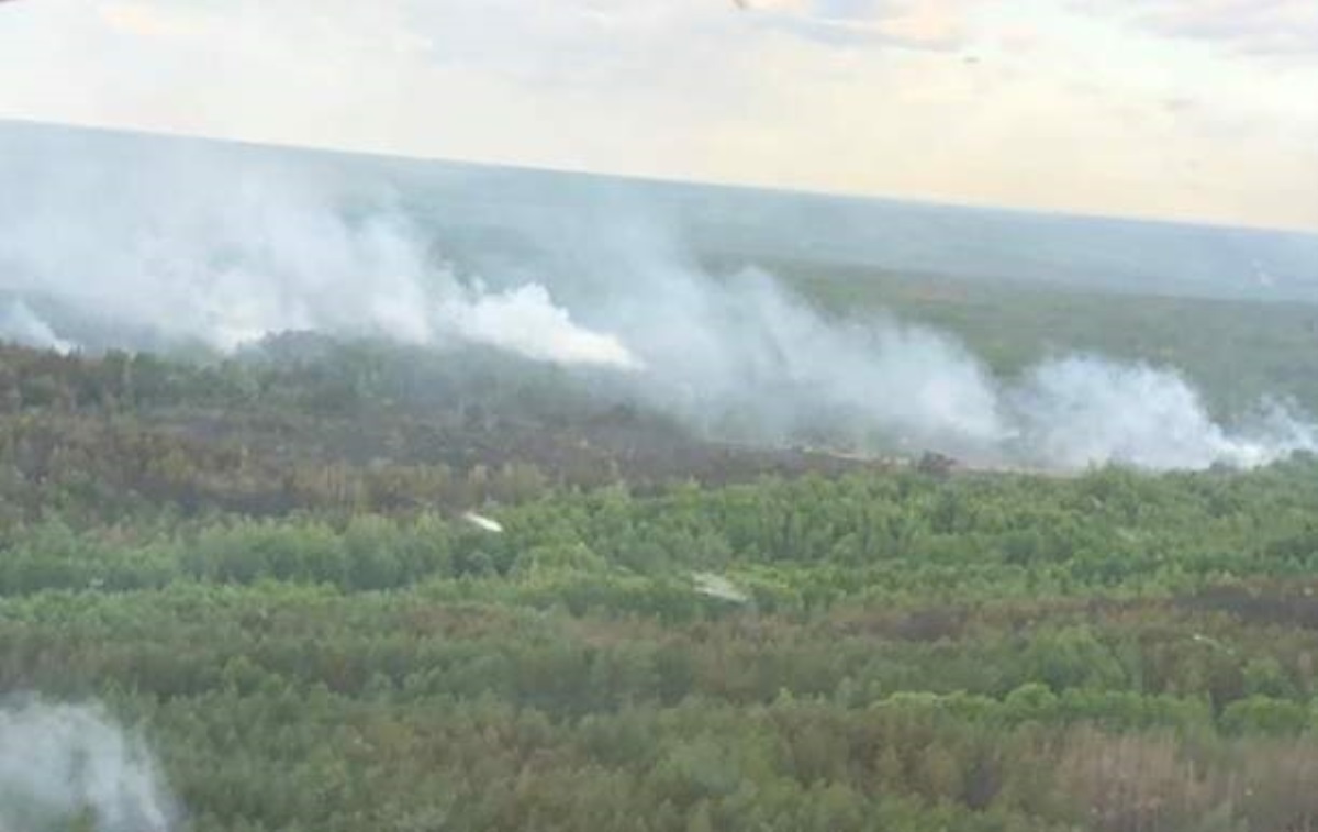 ГСЧС: Площадь пожара в Чернобыльской зоне сократилась