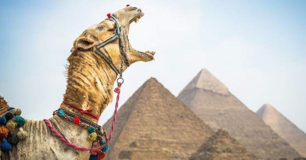 В Египте хотят поднять цены на отели: к чему готовиться туристам
