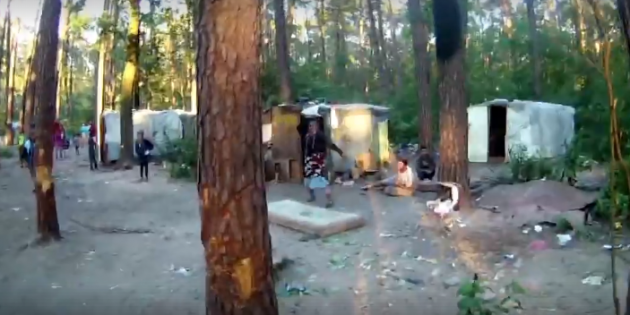 Разгром табора в Киеве: опубликовано видео нападения ромов на эколога
